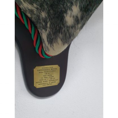 Cabeça Touro Taxidermia - Image 3