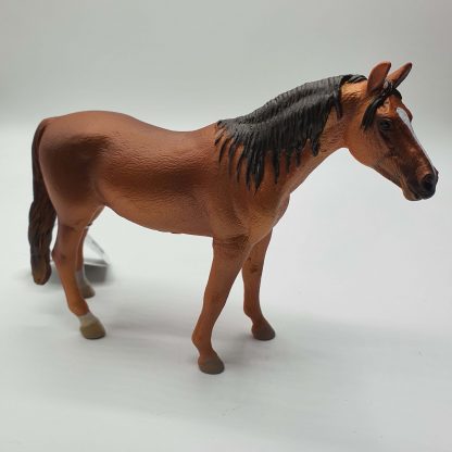 Cavalos