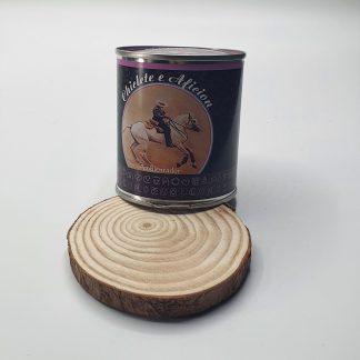 Ambientadores Lata Chiclete