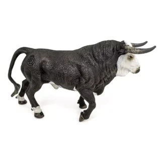 Touro bravo cara branca trotar