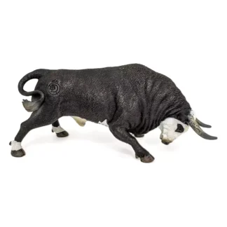 Touro bravo cara branca investir